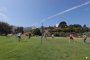 IMG_7497